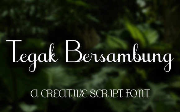 Tegak Bersambung: The Flowing Script Font for Modern Branding